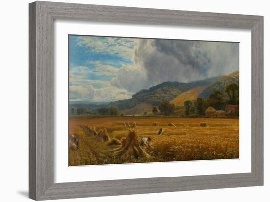 Harvesting in the Thames Valley, 1888 (Oil on Canvas)-George Vicat Cole-Framed Giclee Print