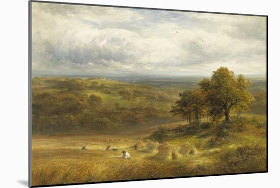 Harvesting near Barrow, Derby-George Turner-Mounted Giclee Print