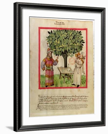 Harvesting Nutmeg-null-Framed Giclee Print