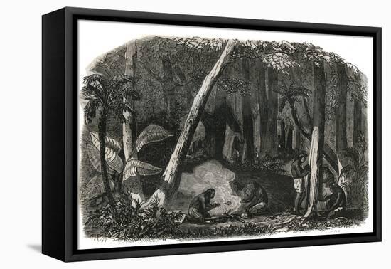 Harvesting of rubber in the forests of Brazil-French School-Framed Premier Image Canvas