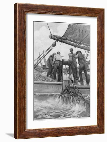 Harvesting Oysters-null-Framed Art Print