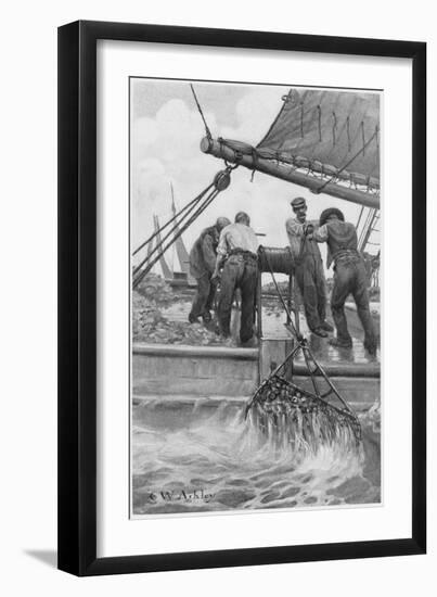 Harvesting Oysters-null-Framed Art Print