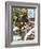 Harvesting Potatoes: Lifting Potatoes out of Ground with Fork-Linda Burgess-Framed Photographic Print