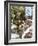 Harvesting Potatoes: Lifting Potatoes out of Ground with Fork-Linda Burgess-Framed Photographic Print