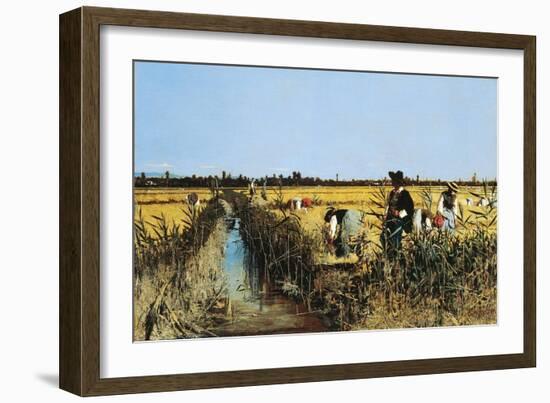 Harvesting Rice in Low Lands of Verona, 1877-Giacomo Favretto-Framed Giclee Print