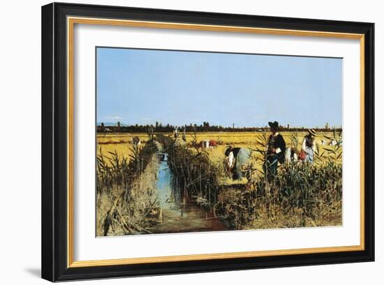 Harvesting Rice in Low Lands of Verona, 1877-Giacomo Favretto-Framed Giclee Print