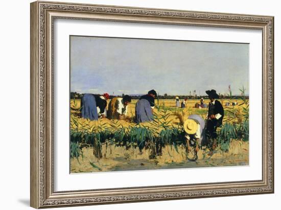 Harvesting Rice in Low Lands of Verona-Giacomo Favretto-Framed Giclee Print