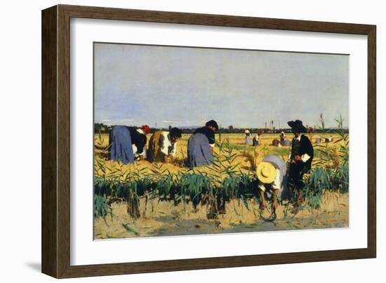 Harvesting Rice in Low Lands of Verona-Giacomo Favretto-Framed Giclee Print