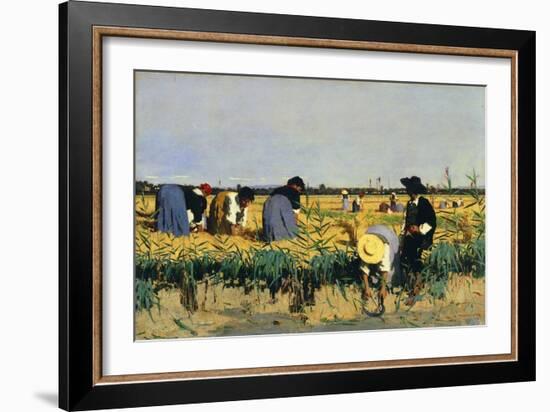 Harvesting Rice in Low Lands of Verona-Giacomo Favretto-Framed Giclee Print