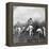 Harvesting Sugar Cane, Rio Pedro, Porto Rico, 1900-BL Singley-Framed Premier Image Canvas