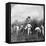 Harvesting Sugar Cane, Rio Pedro, Porto Rico, 1900-BL Singley-Framed Premier Image Canvas