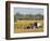 Harvesting Sugarcane near Hervey Bay, Queensland, Australia-David Wall-Framed Photographic Print