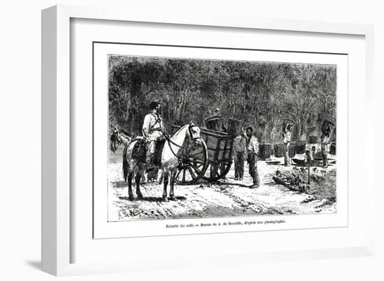 Harvesting the Coffee, Brazil, 19th Century-A de Neuville-Framed Giclee Print