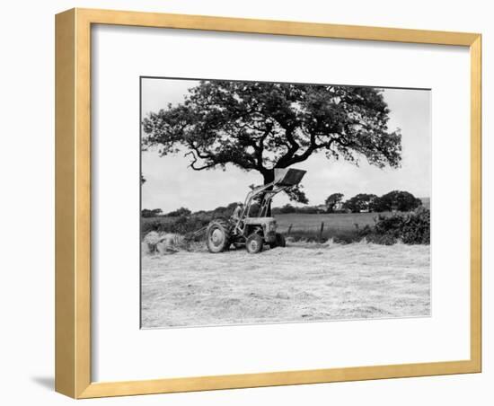 Harvesting with an International Cutter by a Massey-Fergusson 35 Tractor Fitted with a Mill Loader-null-Framed Photographic Print