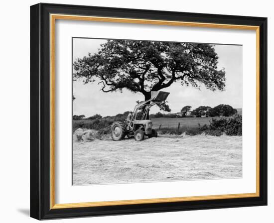 Harvesting with an International Cutter by a Massey-Fergusson 35 Tractor Fitted with a Mill Loader-null-Framed Photographic Print