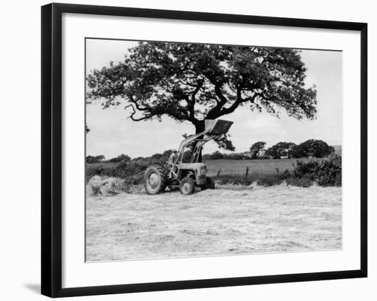 Harvesting with an International Cutter by a Massey-Fergusson 35 Tractor Fitted with a Mill Loader-null-Framed Photographic Print