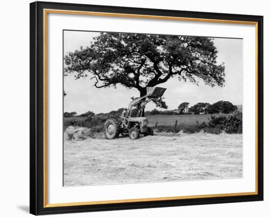 Harvesting with an International Cutter by a Massey-Fergusson 35 Tractor Fitted with a Mill Loader-null-Framed Photographic Print