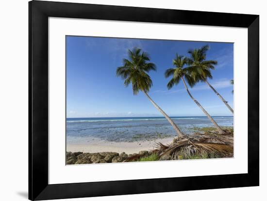 Hastings Beach, Christ Church, Barbados, West Indies, Caribbean, Central America-Frank Fell-Framed Photographic Print