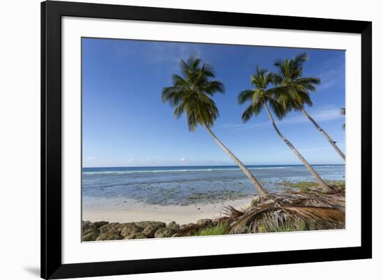 Hastings Beach, Christ Church, Barbados, West Indies, Caribbean, Central America-Frank Fell-Framed Photographic Print