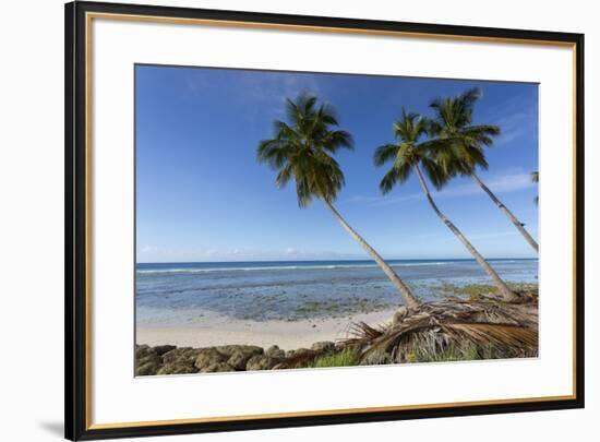 Hastings Beach, Christ Church, Barbados, West Indies, Caribbean, Central America-Frank Fell-Framed Photographic Print