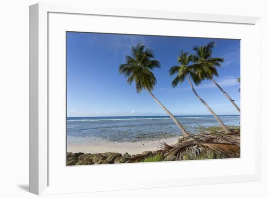 Hastings Beach, Christ Church, Barbados, West Indies, Caribbean, Central America-Frank Fell-Framed Photographic Print