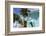 Hastings Beach, Christ Church, Barbados, West Indies, Caribbean, Central America-Frank Fell-Framed Photographic Print