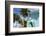 Hastings Beach, Christ Church, Barbados, West Indies, Caribbean, Central America-Frank Fell-Framed Photographic Print
