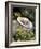 Hat and Daffodils, Louisville, Kentucky, USA-Adam Jones-Framed Photographic Print