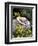 Hat and Daffodils, Louisville, Kentucky, USA-Adam Jones-Framed Photographic Print