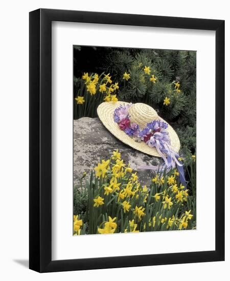 Hat and Daffodils, Louisville, Kentucky, USA-Adam Jones-Framed Photographic Print