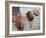 Hat, Basket, and Fishing Net Hanging Outside Iban Longhouse, Sarawak, Borneo, Malaysia-Jay Sturdevant-Framed Photographic Print