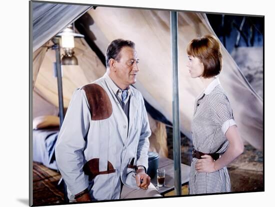 HATARI !, 1962 directed by HOWARD HAWKS John Wayne and Elsa Martinelli (photo)-null-Mounted Photo