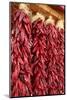 Hatch, New Mexico, Usa. Red chiles hang out to dry.-Julien McRoberts-Mounted Photographic Print