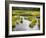 Hatcher's Pass creek marsh-Savanah Plank-Framed Photo