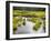 Hatcher's Pass creek marsh-Savanah Plank-Framed Photo