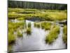 Hatcher's Pass creek marsh-Savanah Plank-Mounted Photo