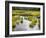 Hatcher's Pass creek marsh-Savanah Plank-Framed Photo