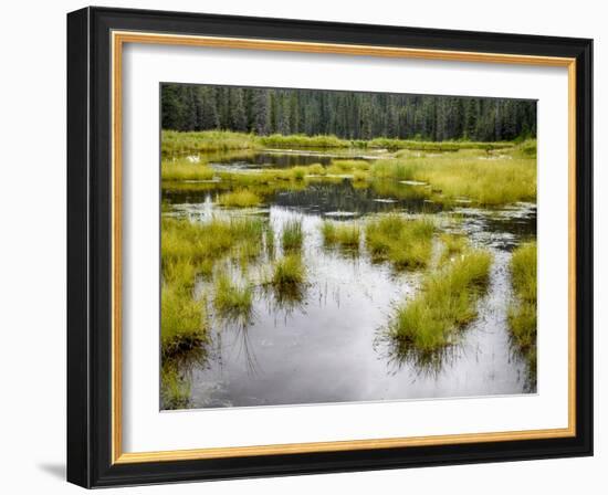 Hatcher's Pass creek marsh-Savanah Plank-Framed Photo