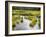 Hatcher's Pass creek marsh-Savanah Plank-Framed Photo