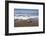 Hatchling Sea Turtle Heads to the Ocean-Paul Souders-Framed Photographic Print