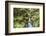 Hatea River Landscape at the Whangarei Falls, a Waterfall in the Northlands Region of North Island-Matthew Williams-Ellis-Framed Photographic Print