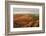 Hathersage Moor from Higger Tor, sunrise in autumn, Peak District National Park, Derbyshire, Englan-Eleanor Scriven-Framed Photographic Print