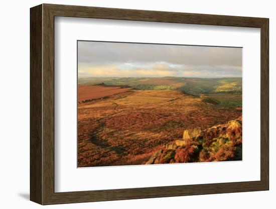 Hathersage Moor from Higger Tor, sunrise in autumn, Peak District National Park, Derbyshire, Englan-Eleanor Scriven-Framed Photographic Print