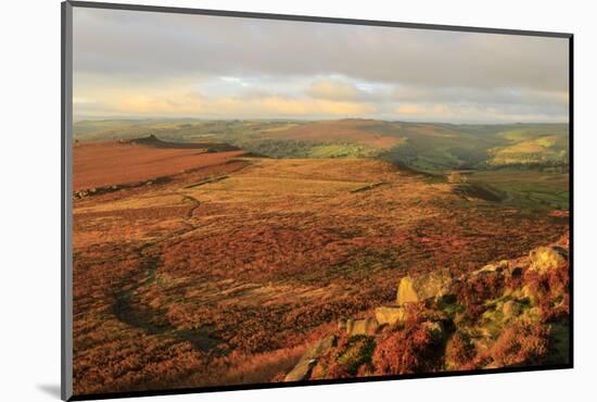 Hathersage Moor from Higger Tor, sunrise in autumn, Peak District National Park, Derbyshire, Englan-Eleanor Scriven-Mounted Photographic Print