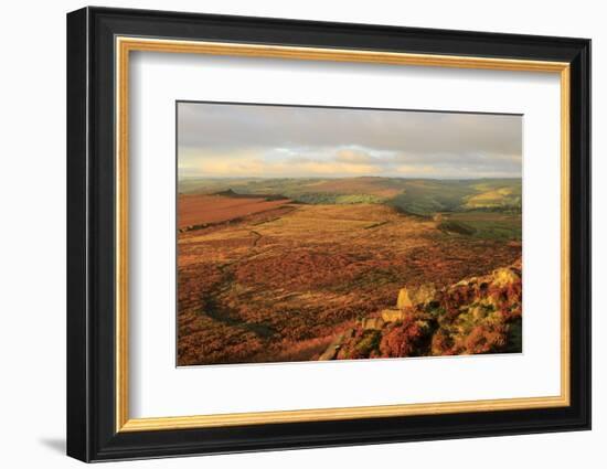 Hathersage Moor from Higger Tor, sunrise in autumn, Peak District National Park, Derbyshire, Englan-Eleanor Scriven-Framed Photographic Print