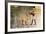 Hatshepsut, Queen of Egypt, Presenting an Offering to the God Horus-null-Framed Photographic Print