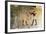 Hatshepsut, Queen of Egypt, Presenting an Offering to the God Horus-null-Framed Photographic Print