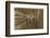 Hattie Hunter-Lewis Wickes Hine-Framed Photographic Print