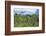 Hau'Ula Forest Reserve, Koolau Mountain Rage, Oahu, Hawaii, United States of America, Pacific-Michael DeFreitas-Framed Photographic Print