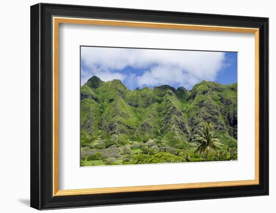Hau'Ula Forest Reserve, Koolau Mountain Rage, Oahu, Hawaii, United States of America, Pacific-Michael DeFreitas-Framed Photographic Print